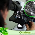 Biohematología Estudio microscópico del campo oscuro