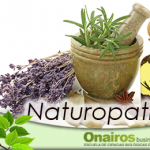 Fitoterapia Plantas medicinales